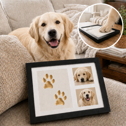 Petlovla Pet Frame